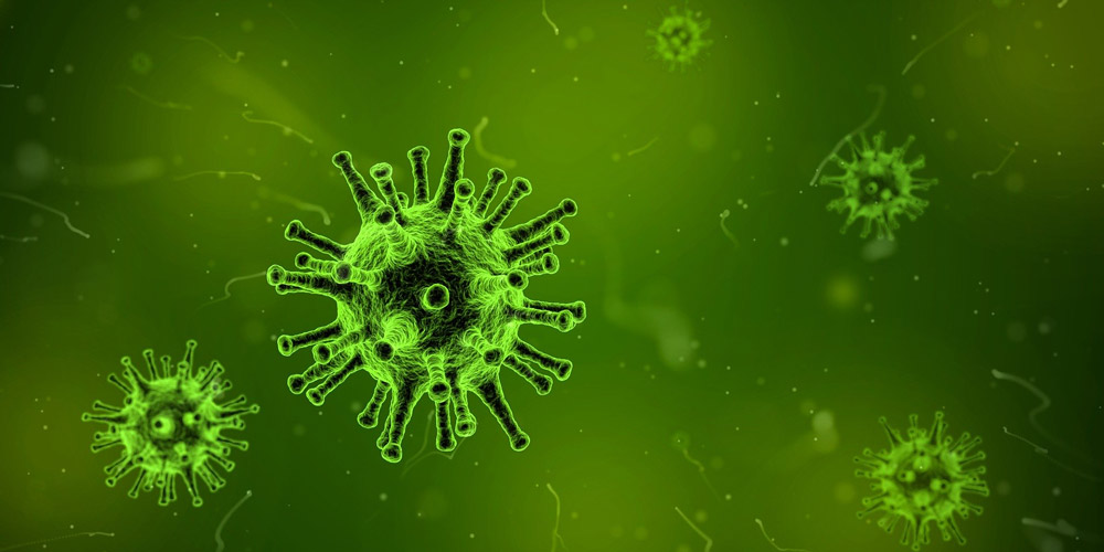 Coronavirus – digitale Besichtigungen statt Besichtigung vor Ort 1